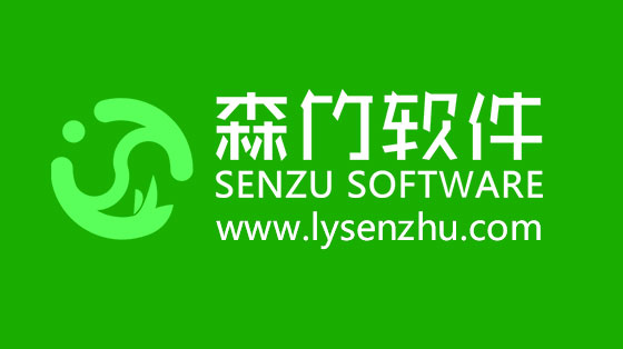 選擇森竹軟件服務(wù)，開發(fā)少走很多彎路！